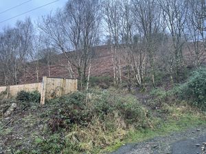 Photo 3- click for photo gallery